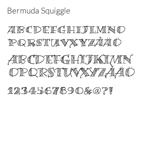 Bermuda Squiggle